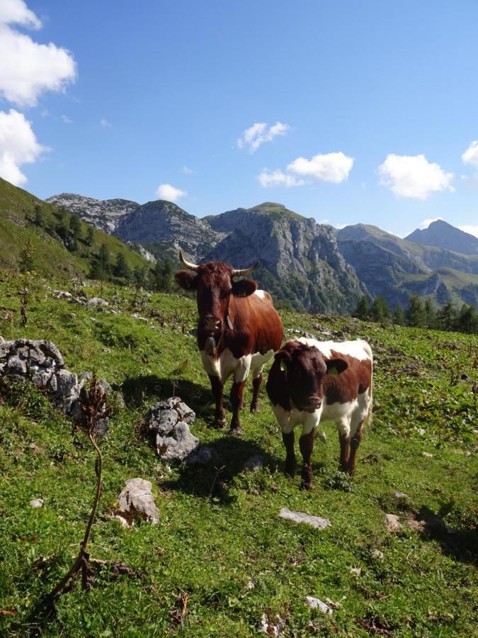 Malterlehen-Berchtesgaden Daire Dış mekan fotoğraf