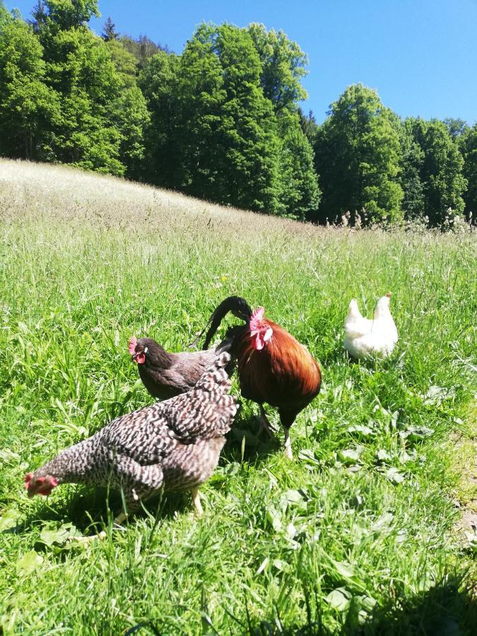 Malterlehen-Berchtesgaden Daire Dış mekan fotoğraf