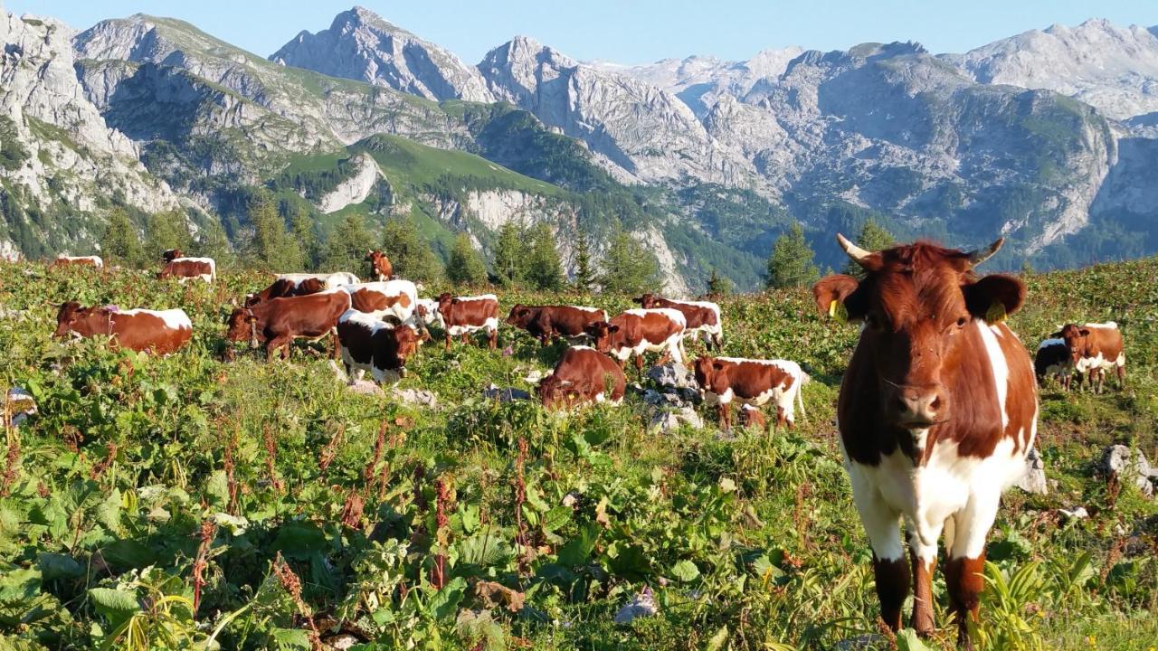 Malterlehen-Berchtesgaden Daire Dış mekan fotoğraf